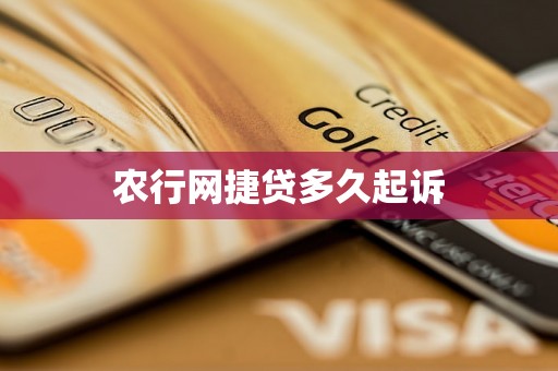 农行网捷贷多久起诉