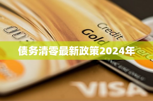 債務(wù)清零最新政策2024年