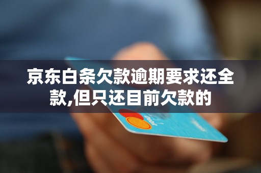 京东白条欠款逾期要求还全款,但只还目前欠款的