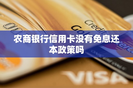 农商银行信用卡没有免息还本政策吗 农商银行信用卡没有免息还本政策吗
