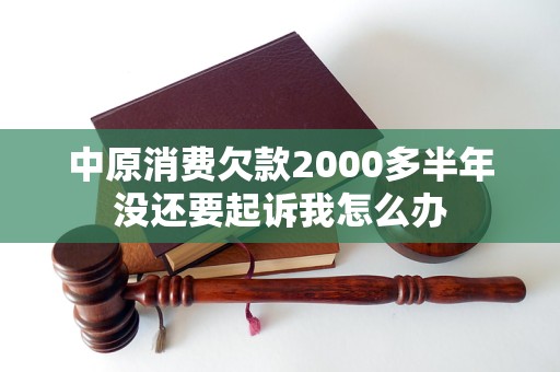 中原消費(fèi)欠款2000多半年沒(méi)還要起訴我怎么辦