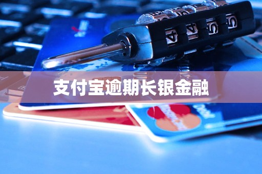 支付寶逾期長銀金融