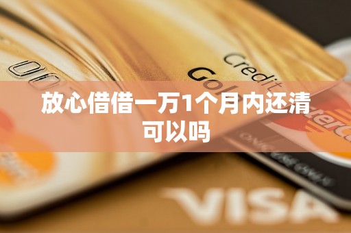 放心借借一万1个月内还清可以吗
