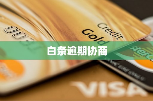 白条逾期协商