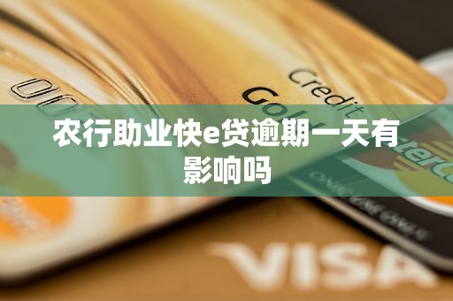 农行助业快e贷逾期一天有影响吗