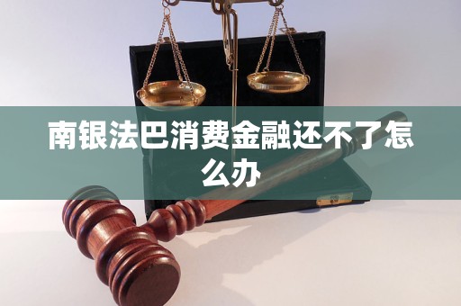 南銀法巴消費金融還不了怎么辦