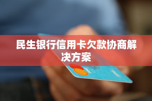 民生銀行信用卡欠款協(xié)商解決方案