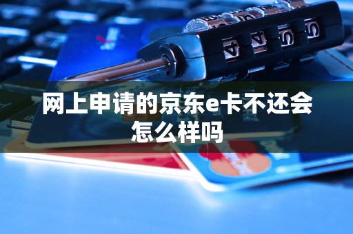 网上申请的京东e卡不还会怎么样吗 网上申请的京东e卡不还会怎么样吗