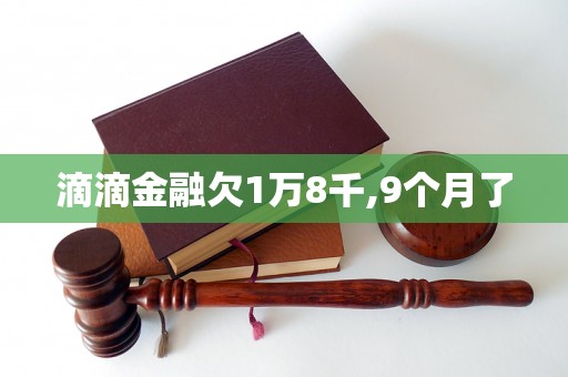 滴滴金融欠1万8千,9个月了