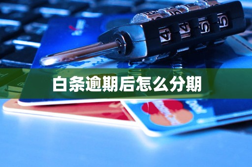 白条逾期后怎么分期