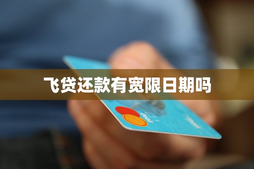 飞贷还款有宽限日期吗 飞贷还款有宽限日期吗
