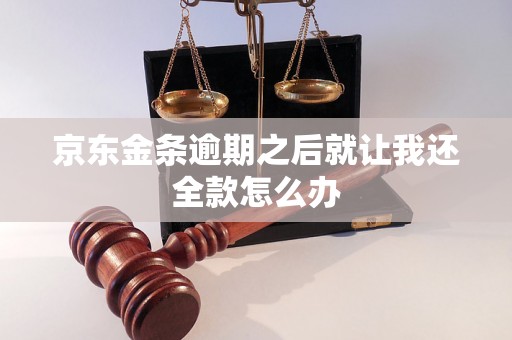 京东金条逾期之后就让我还全款怎么办