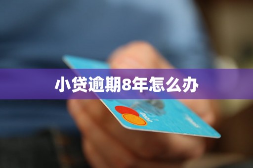 小贷逾期8年怎么办