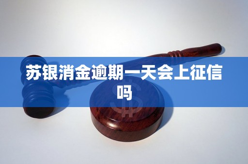 苏银消金逾期一天会上征信吗