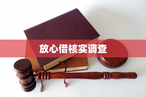 放心借核实调查