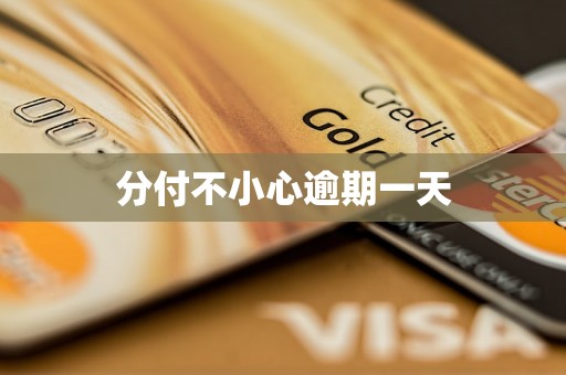 分付不小心逾期一天