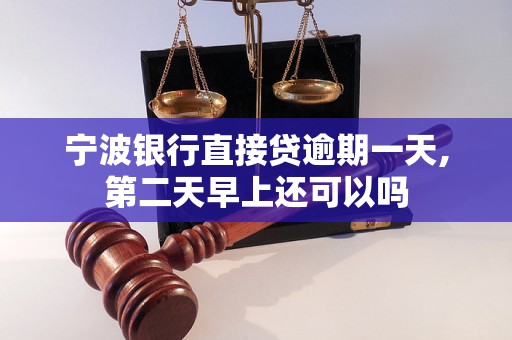 宁波银行直接贷逾期一天,第二天早上还可以吗 宁波银行直接贷逾期一天,第二天早上还可以吗