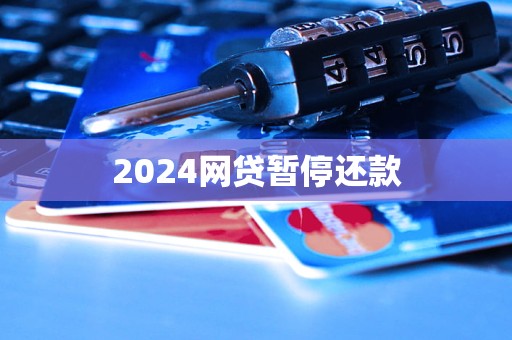 2024網(wǎng)貸暫停還款