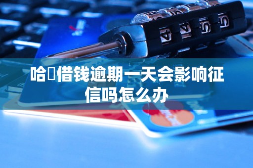 哈啰借钱逾期一天会影响征信吗怎么办