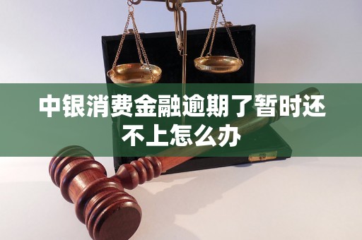 中银消费金融逾期了暂时还不上怎么办