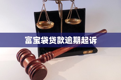 富宝袋贷款逾期起诉