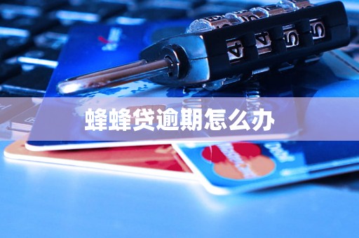 蜂蜂贷逾期怎么办