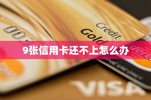9张信用卡还不上怎么办 9张信用卡还不上怎么办