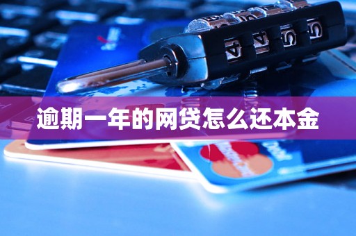 逾期一年的网贷怎么还本金