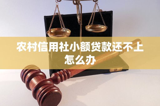 農(nóng)村信用社小額貸款還不上怎么辦