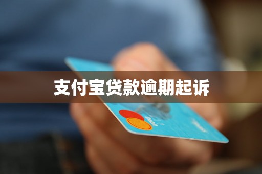 支付宝贷款逾期起诉