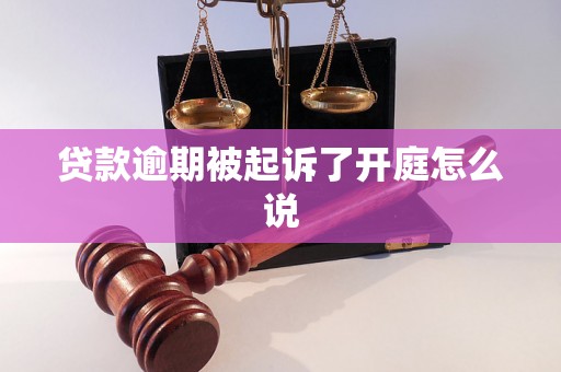 贷款逾期被起诉了开庭怎么说