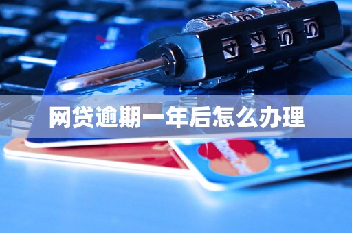 网贷逾期一年后怎么办理 网贷逾期一年后怎么办理