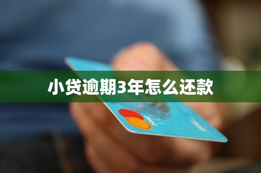小贷逾期3年怎么还款 小贷逾期3年怎么还款