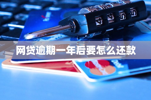 网贷逾期一年后要怎么还款