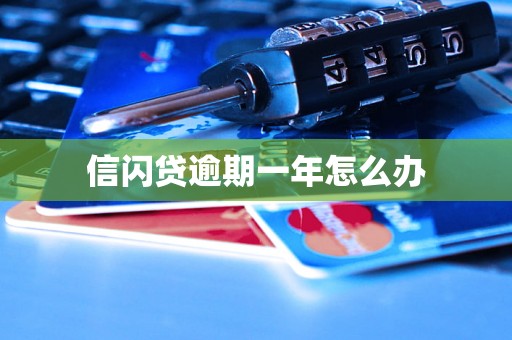 信闪贷逾期一年怎么办 信闪贷逾期一年怎么办