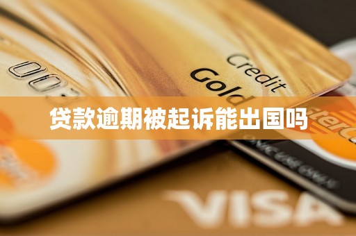 贷款逾期被起诉能出国吗