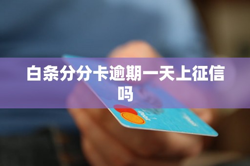白条分分卡逾期一天上征信吗