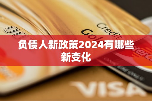 負(fù)債人新政策2024有哪些新變化