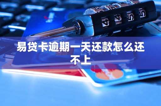 易贷卡逾期一天还款怎么还不上 易贷卡逾期一天还款怎么还不上