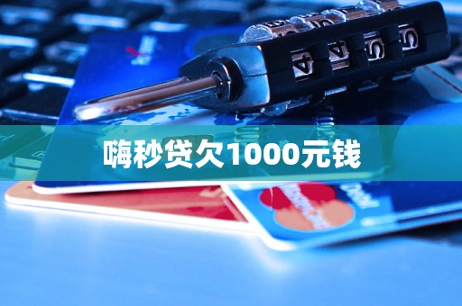 嗨秒貸欠1000元錢