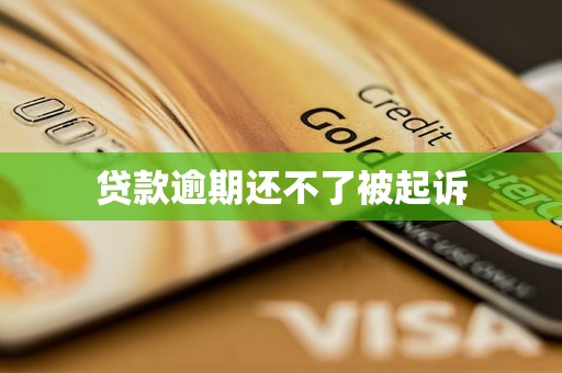 贷款逾期还不了被起诉