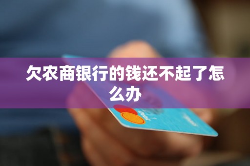 欠农商银行的钱还不起了怎么办