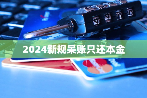 2024新規(guī)呆賬只還本金