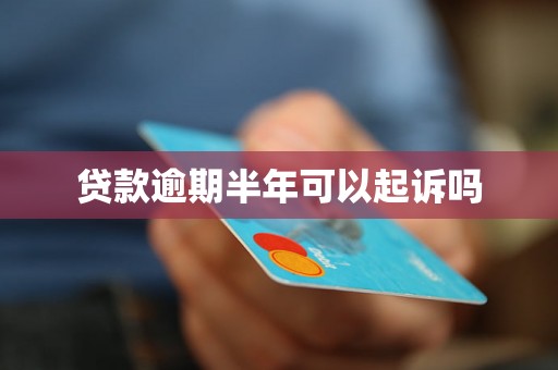 贷款逾期半年可以起诉吗