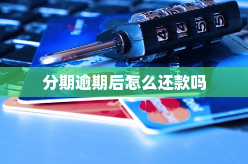 分期逾期后怎么还款吗