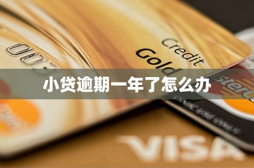 小贷逾期一年了怎么办
