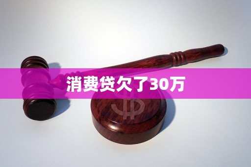 消費貸欠了30萬