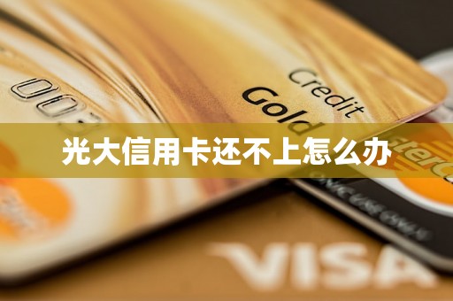 光大信用卡还不上怎么办
