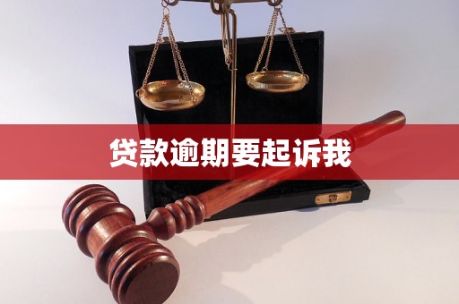 贷款逾期要起诉我