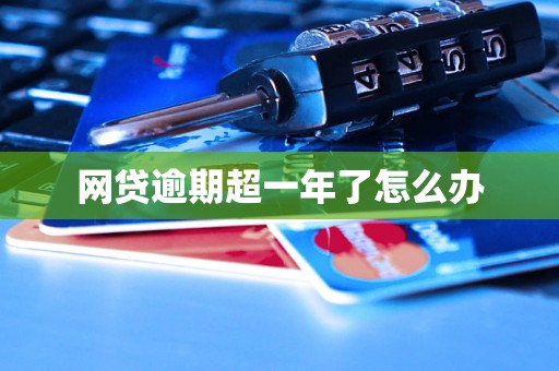 网贷逾期超一年了怎么办